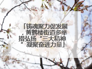 铸魂聚力促发展，黄鹤楼街道多举措弘扬“三大精神”凝聚奋进力量
